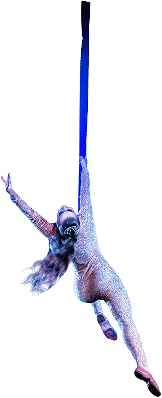 Sensational aerialists